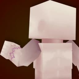 Project icon Custom Skin Keeper