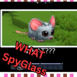 Project icon WHAT! SpyGlass Skin